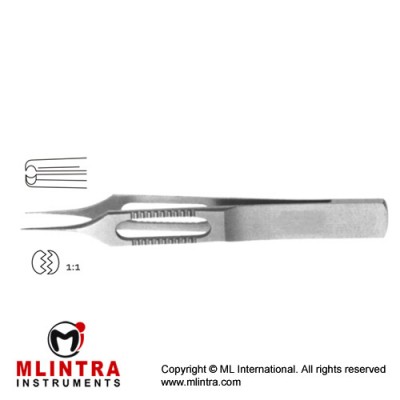 Hoskins Tissue Forcep Straight - 1 x 1 Teeth Stainless Steel, 8 cm - 3 1/4" 
